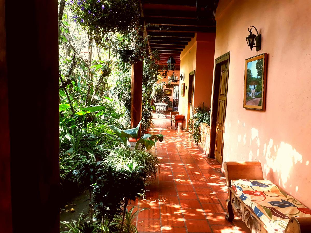 Posada Papa Chepe La Esperanza Exterior photo