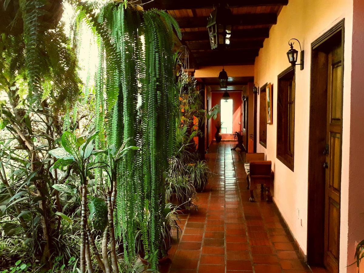 Posada Papa Chepe La Esperanza Exterior photo